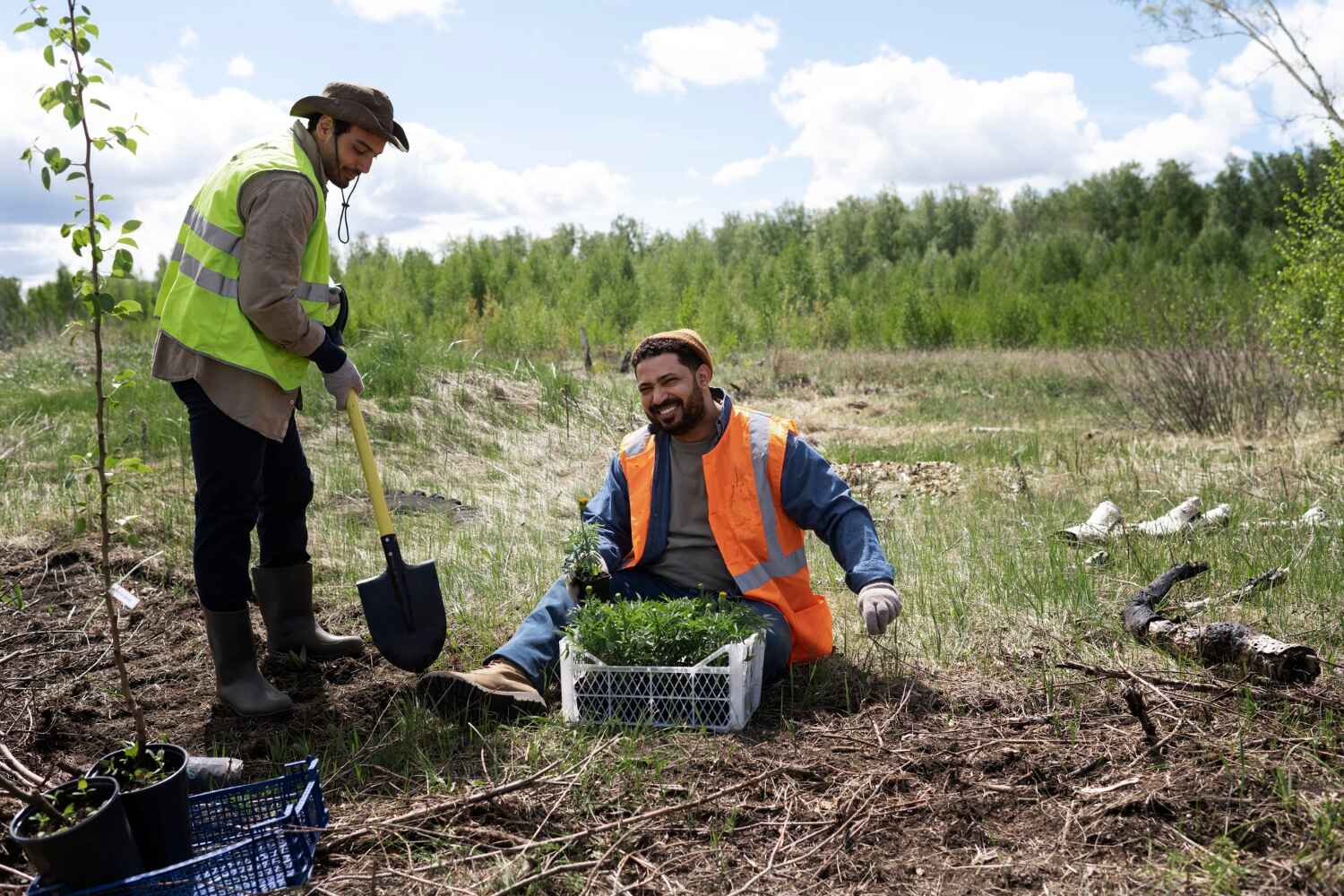 Best Commercial Tree Services  in Lamar, CO